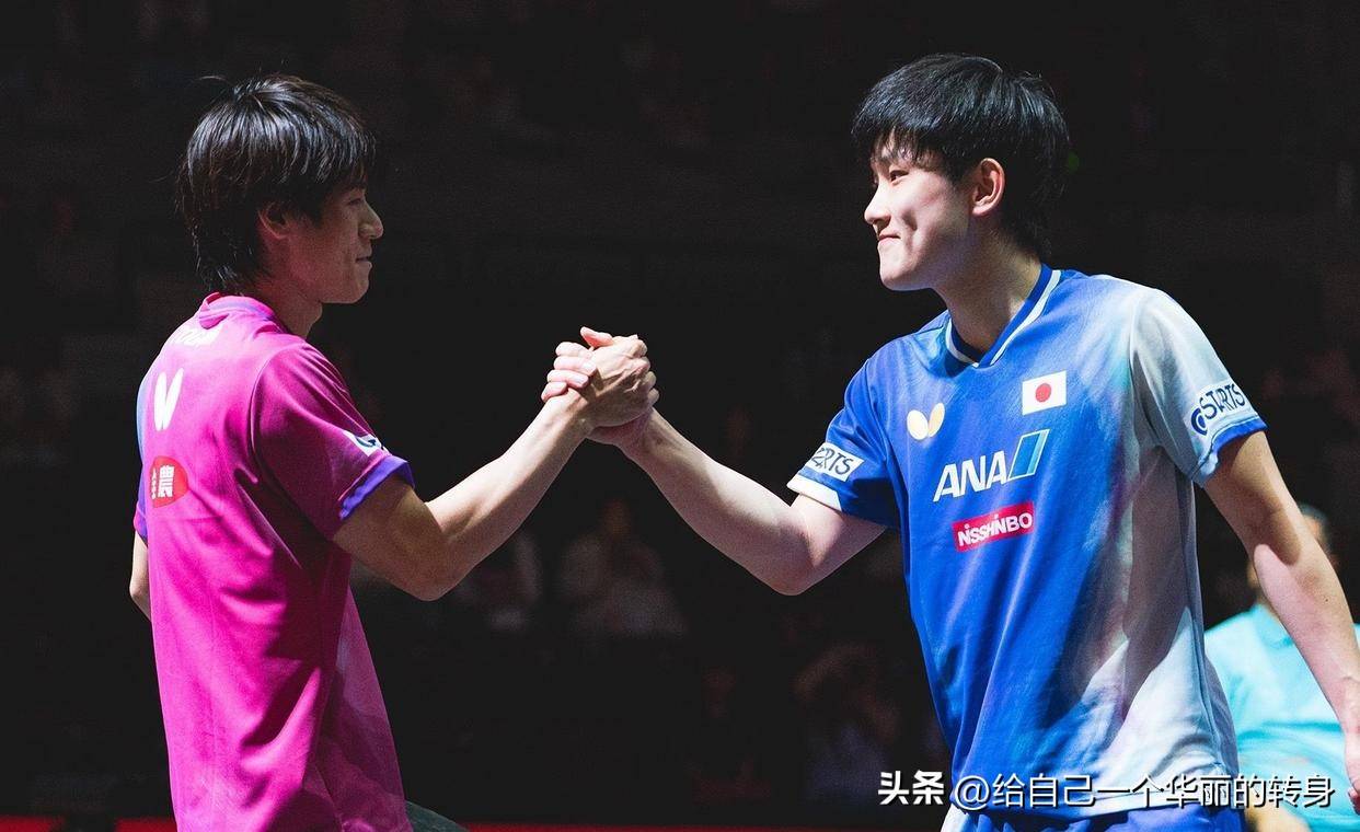 中国队碾压波兰队，张本智和扛起全队的简单介绍